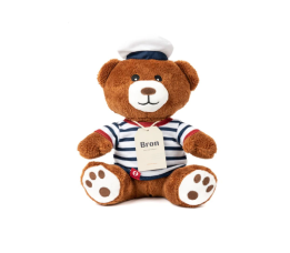 Bron - Teddybeer met gestreept T-shirt