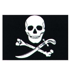 Piraten vlag 30x45