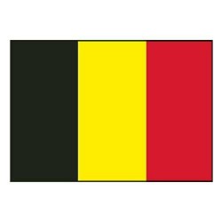 Vlag Belgie 20x30 cm