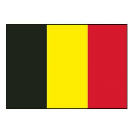 Vlag Belgie 20x30 cm