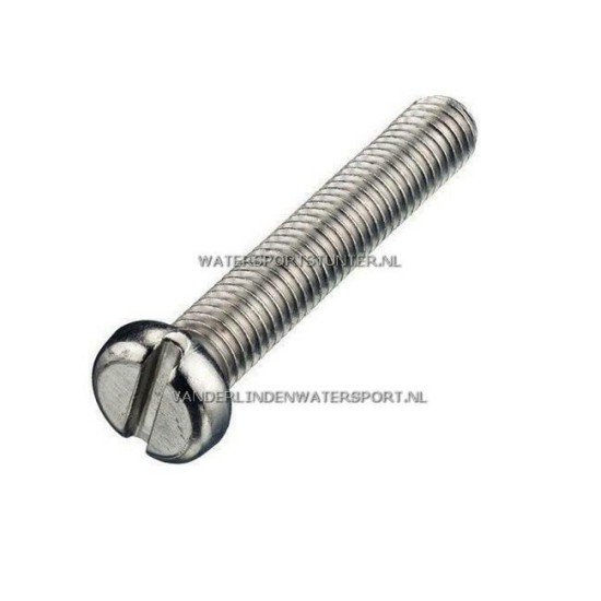 Bout Cilinderkop M6 x 40 mm RVS A4 - 3 Stuks