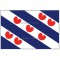 Vlag Friesland 20x30 cm