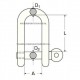 D-Sluiting RVS 6 mm