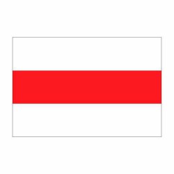 Vlag Brielle Recht 100x150 Vlag Brielle Recht 100x150